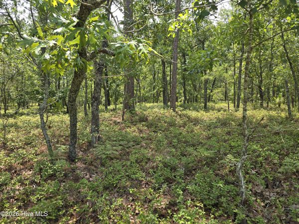 Lot 10 Woola Woola Lane , Grantsboro, NC 28529