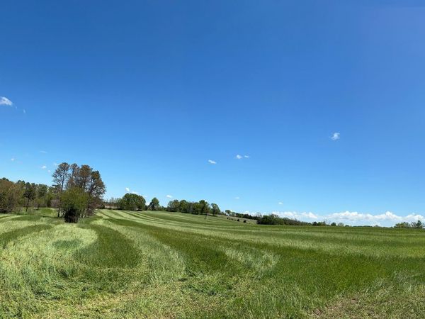 Tbd County Road 14-252 , Drury, MO 65638