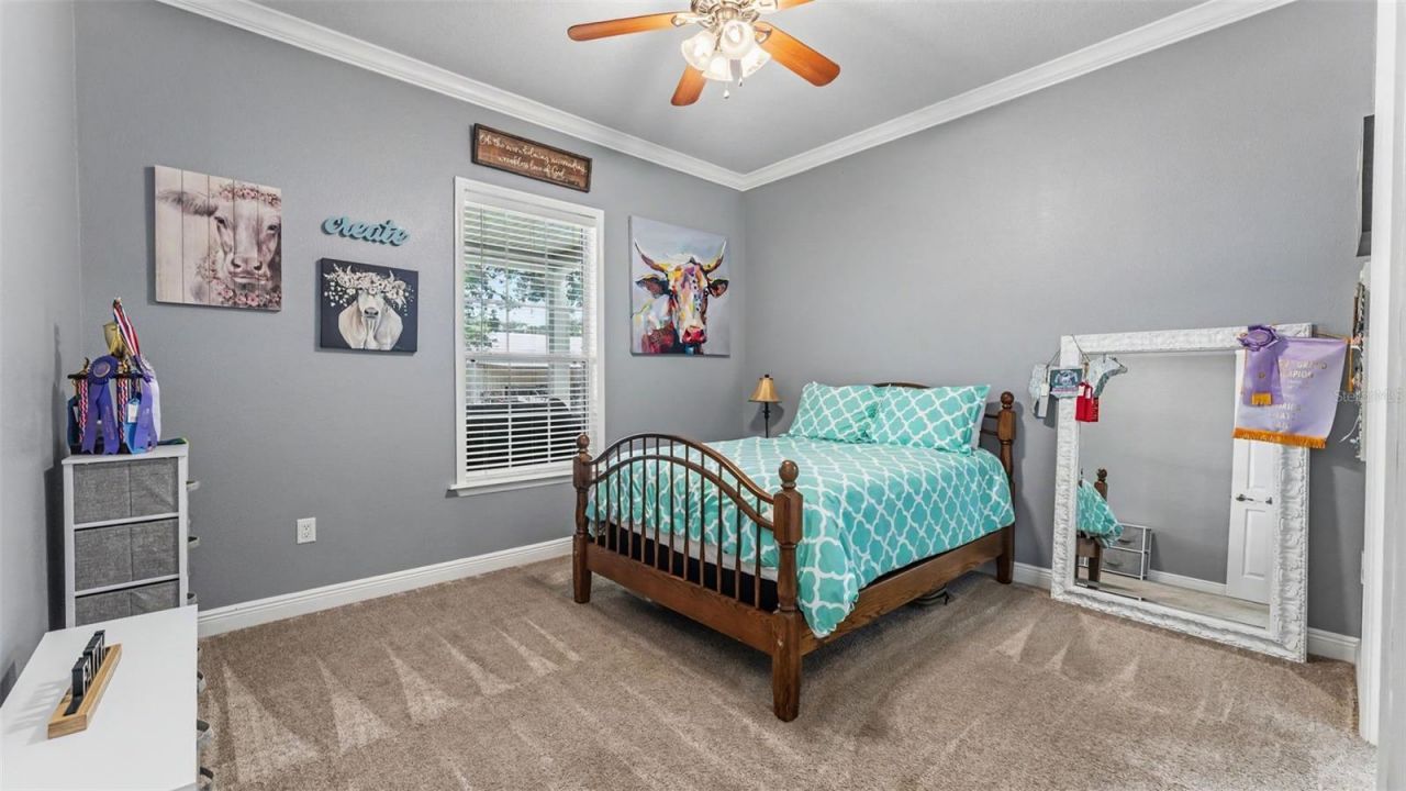 8044 Lake Hatchineha Road, Haines City, FL 33844 Photo
