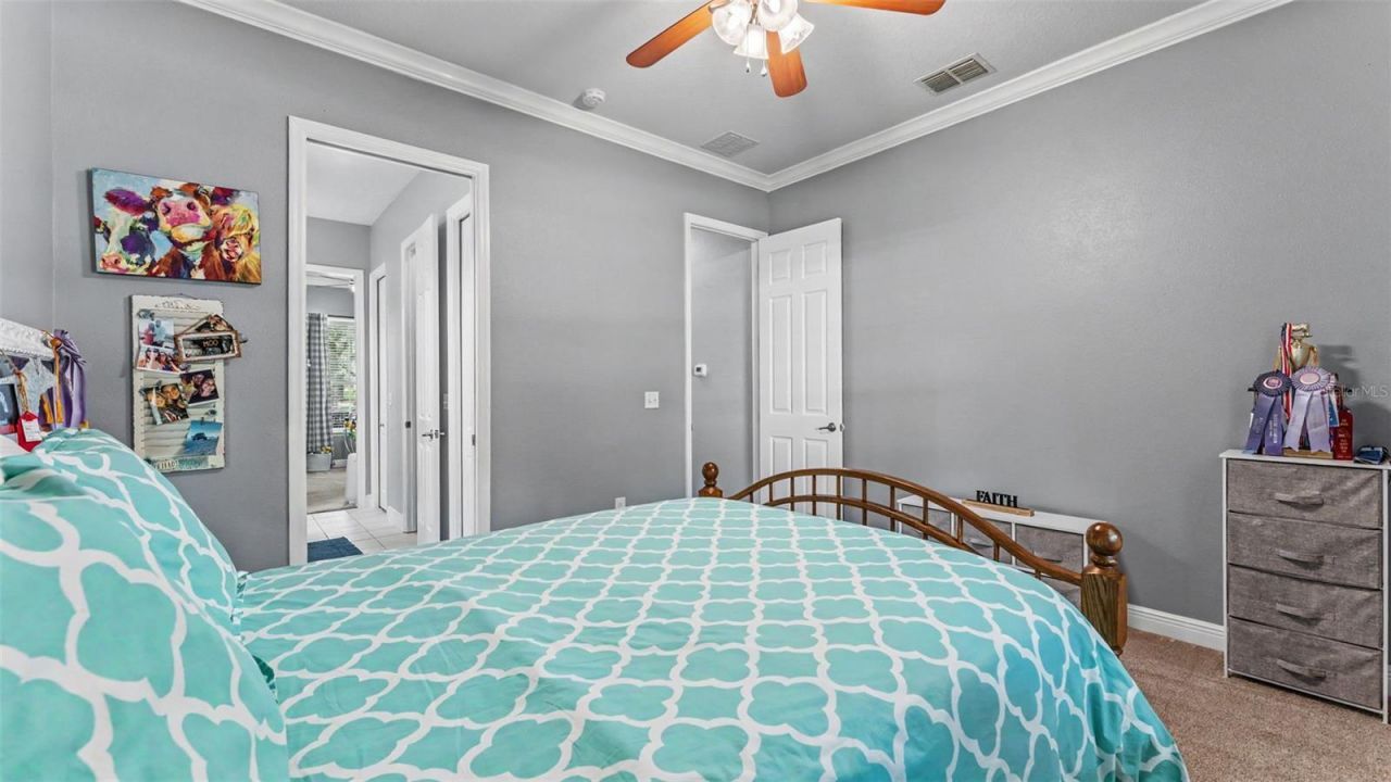 8044 Lake Hatchineha Road, Haines City, FL 33844 Photo