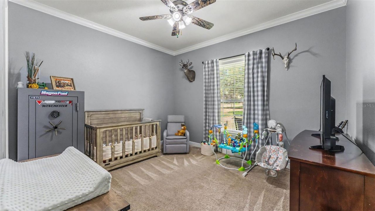 8044 Lake Hatchineha Road, Haines City, FL 33844 Photo