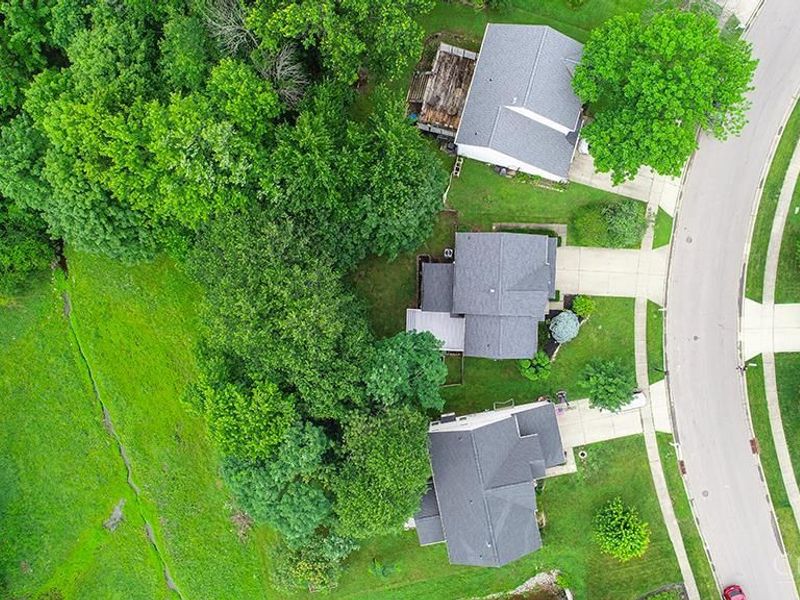 1503 Corbin Drive, Miami Twp, OH 45150 Photo 42