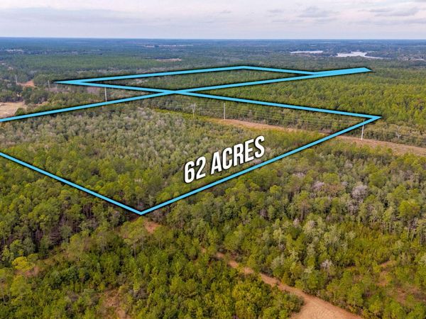 62 Acres Maes Lane, DeFuniak Springs, FL 32433