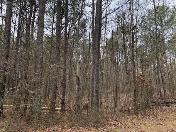 0 KENDRICK Rd, Eldridge, AL 35554