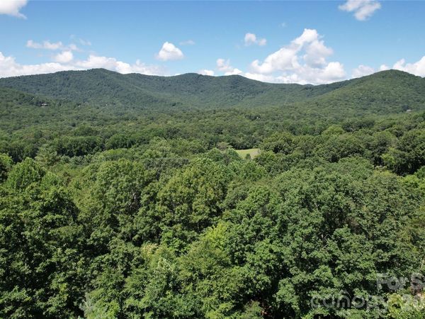 1545 Country View Way , Arden, NC 28704