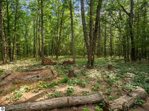 137 Tabor Avenue, Interlochen, MI 49643