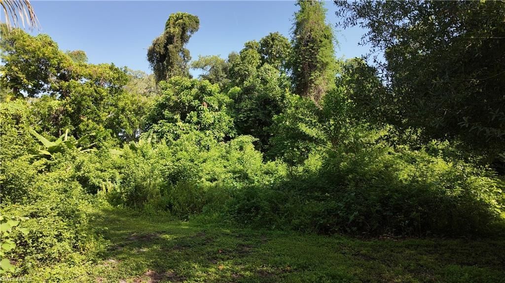 6969 Magnolia Ln, Fort Myers, FL 33966 Photo