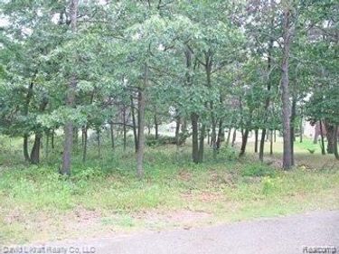 9853 Whispering Pines #37 , Caseville Twp, MI 48755
