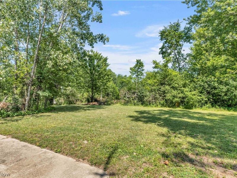 8935 Oberlin Road , Elyria, OH 44035 Photo 18