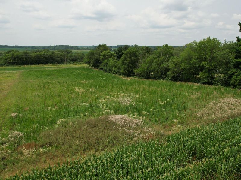 . Township Rd 188 , West Liberty, OH 43357 Photo 3
