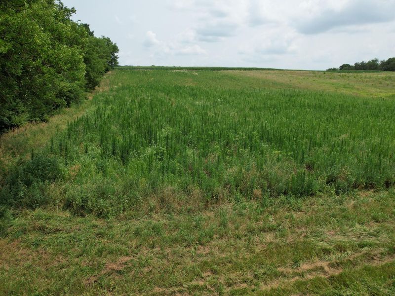 . Township Rd 188 , West Liberty, OH 43357 Photo 5