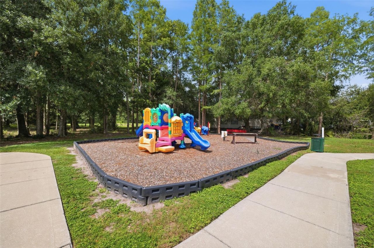 14026 Jacobson Drive , Odessa, FL 33556 Photo