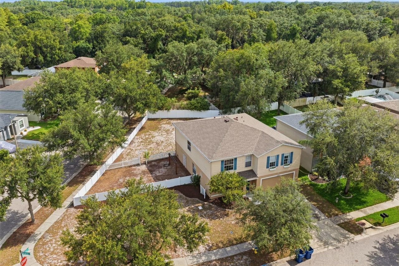 14026 Jacobson Drive , Odessa, FL 33556 Photo
