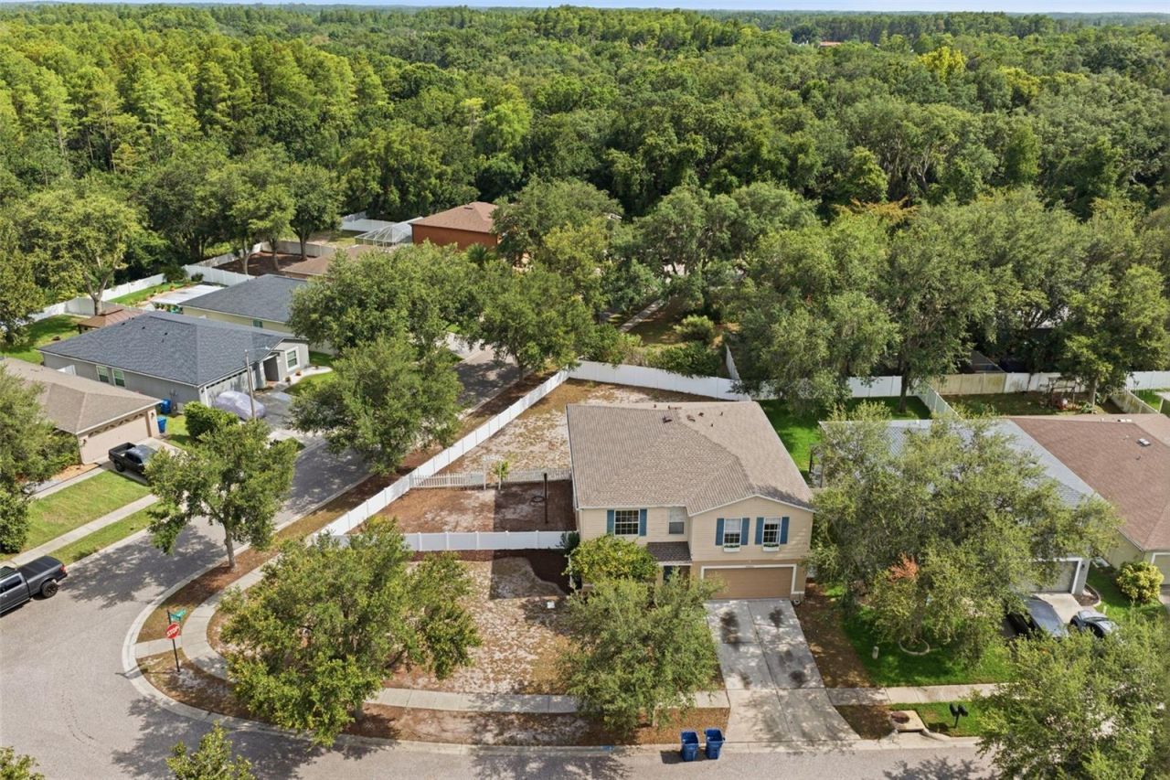 14026 Jacobson Drive , Odessa, FL 33556 Photo