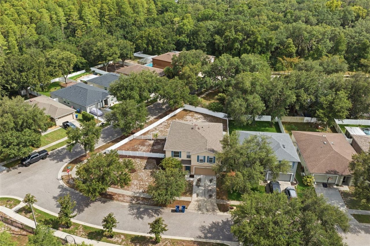 14026 Jacobson Drive , Odessa, FL 33556 Photo