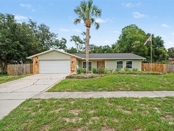 9303 ROLLING RIDGE PLACE , TAMPA, FL 33637