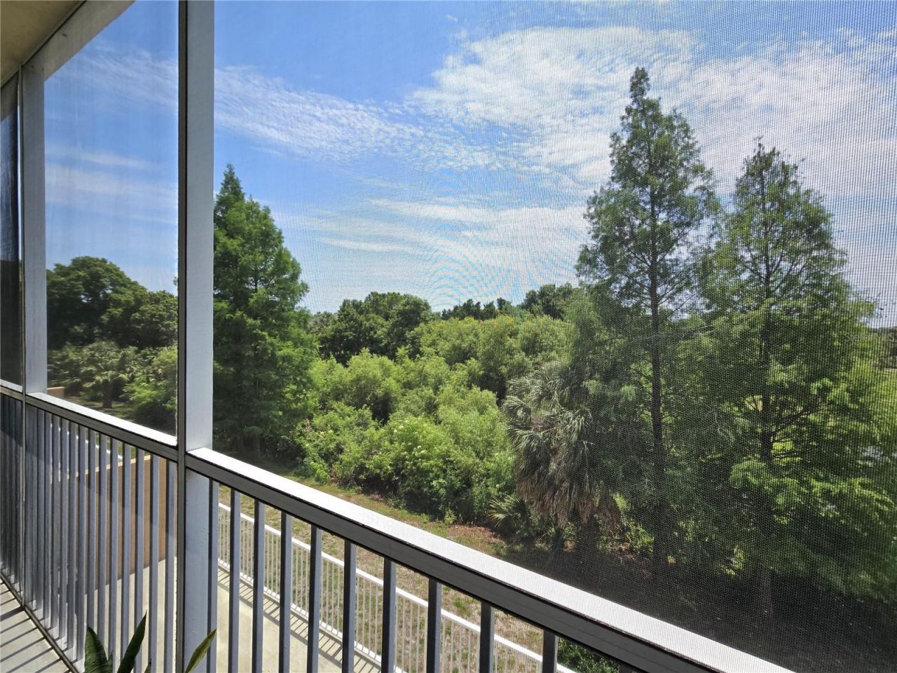 960 Starkey Road, Unit 9206, Largo, FL 33771 Photo