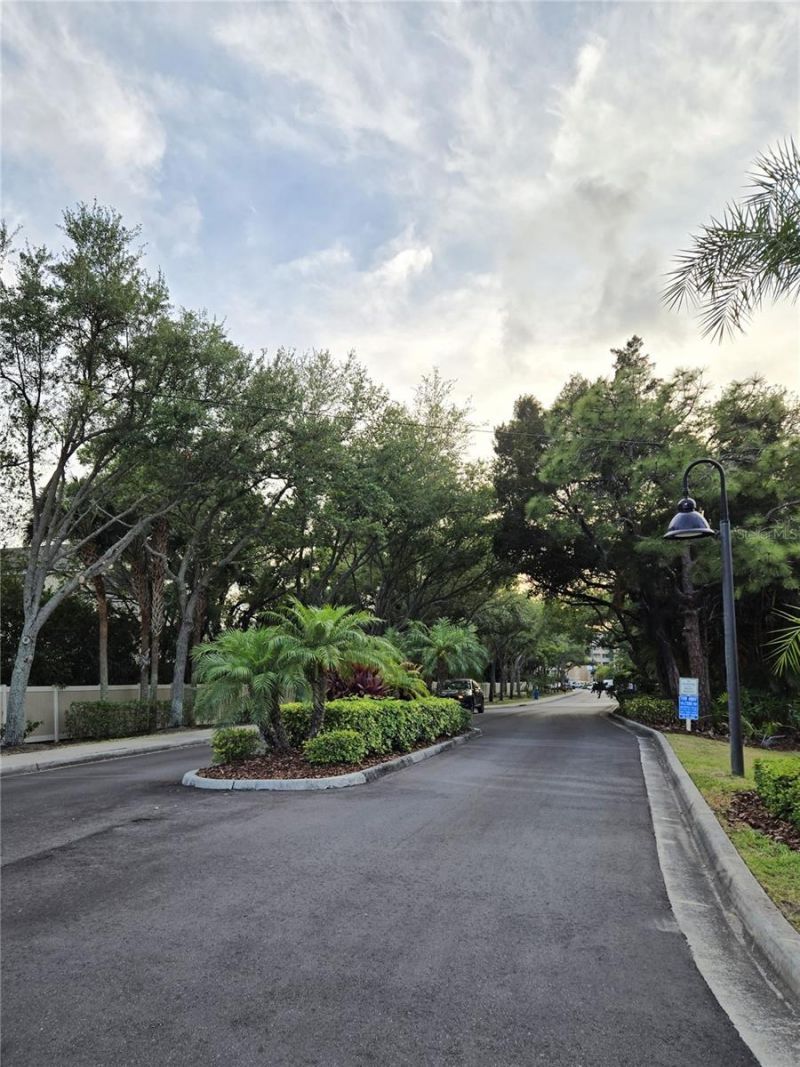 960 Starkey Road, Unit 9206, Largo, FL 33771 Photo