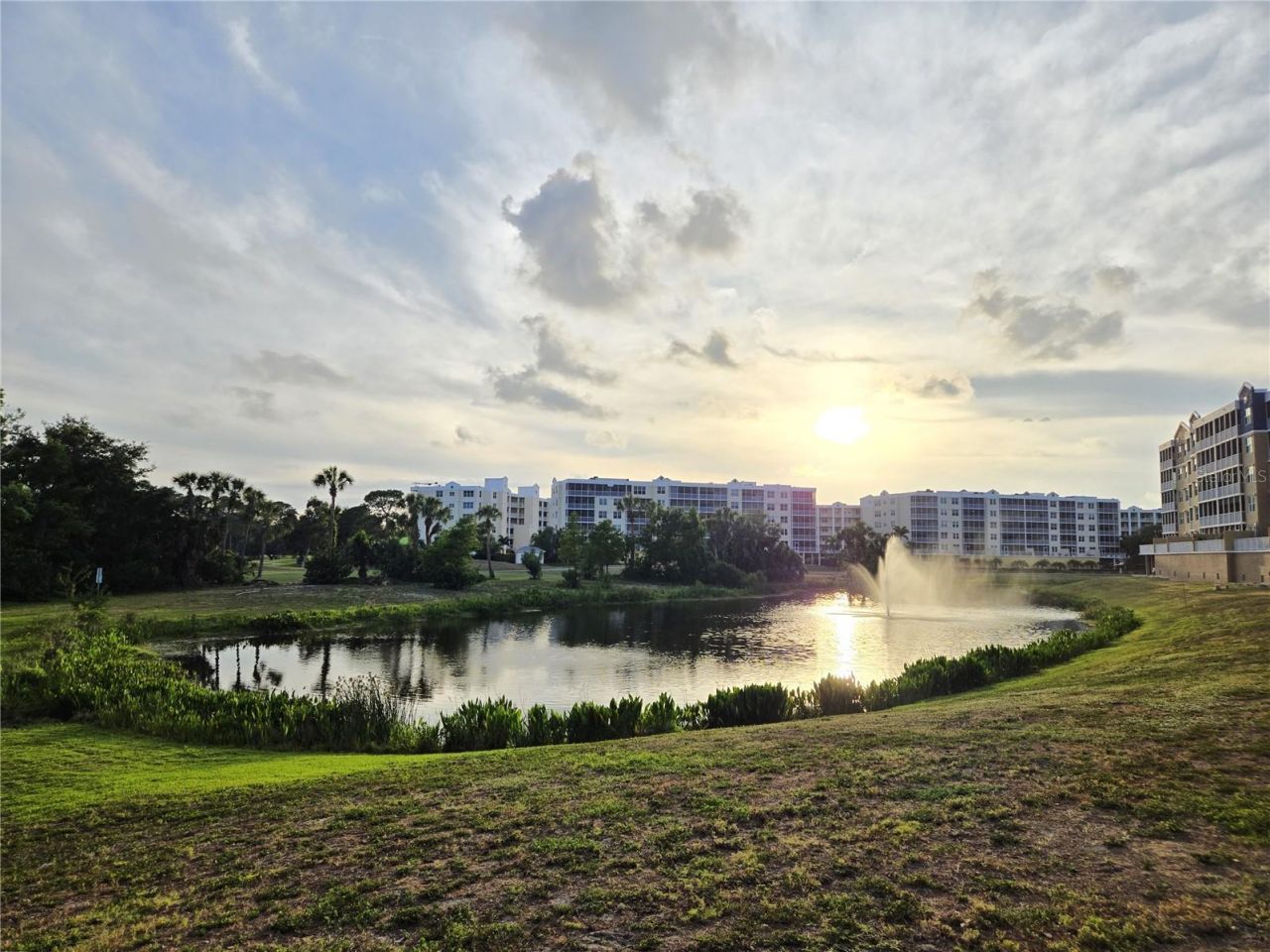 960 Starkey Road, Unit 9206, Largo, FL 33771 Photo