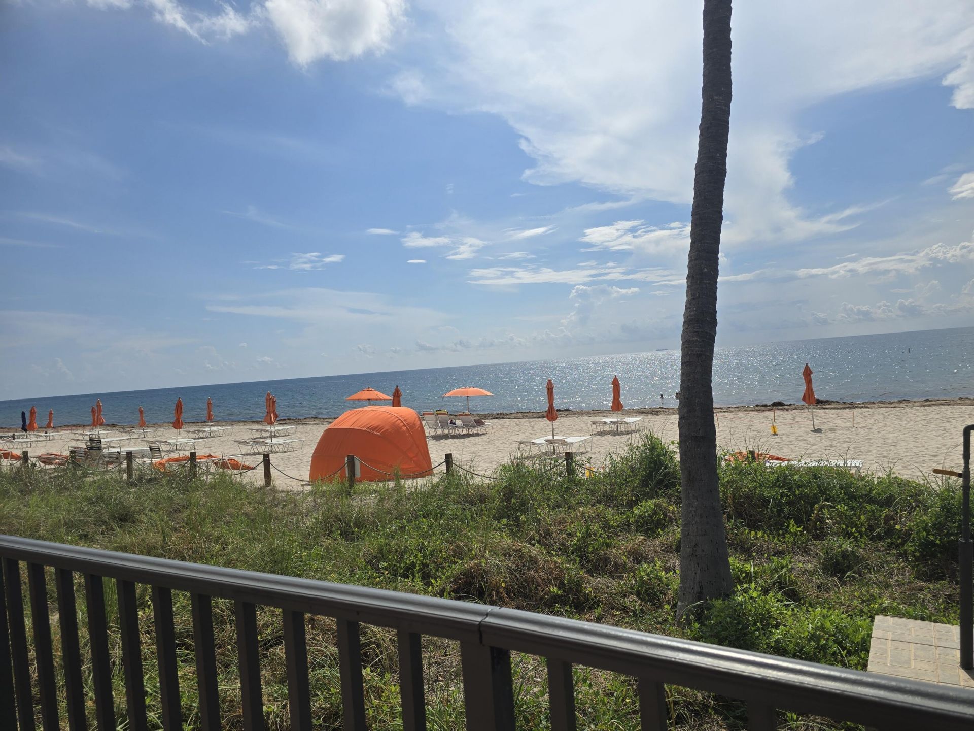 3800 Galt Ocean Drive, Fort Lauderdale, FL 33308 Photo