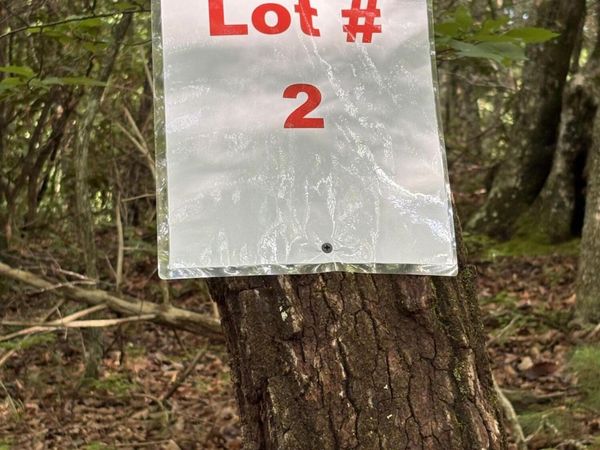 Lot 2 Old Furnace Road, Tellico Plains, TN 37385