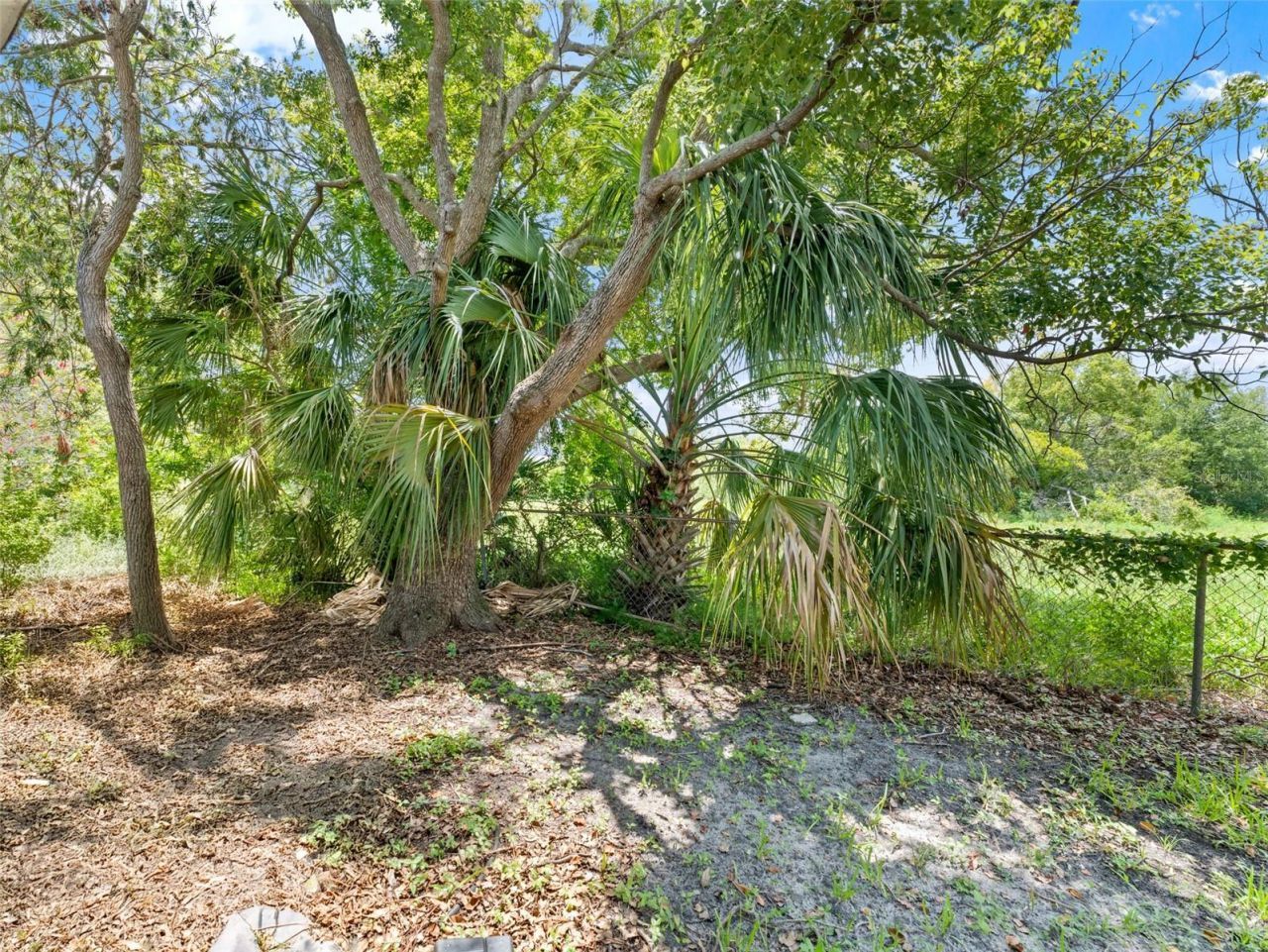 4237 Redcliff Place , Unit -, New Port Richey, FL 34652 Photo