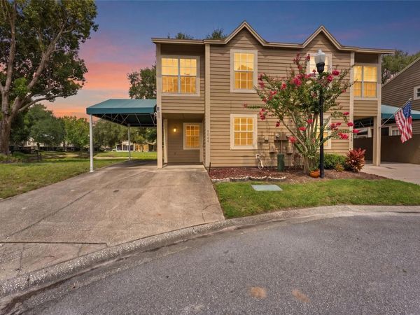 9044 LAKE PLACE LANE , TAMPA, FL 33634
