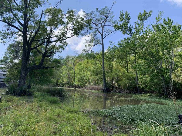 Lots 57 & 58 Petite Dr, Maurepas, LA 70449