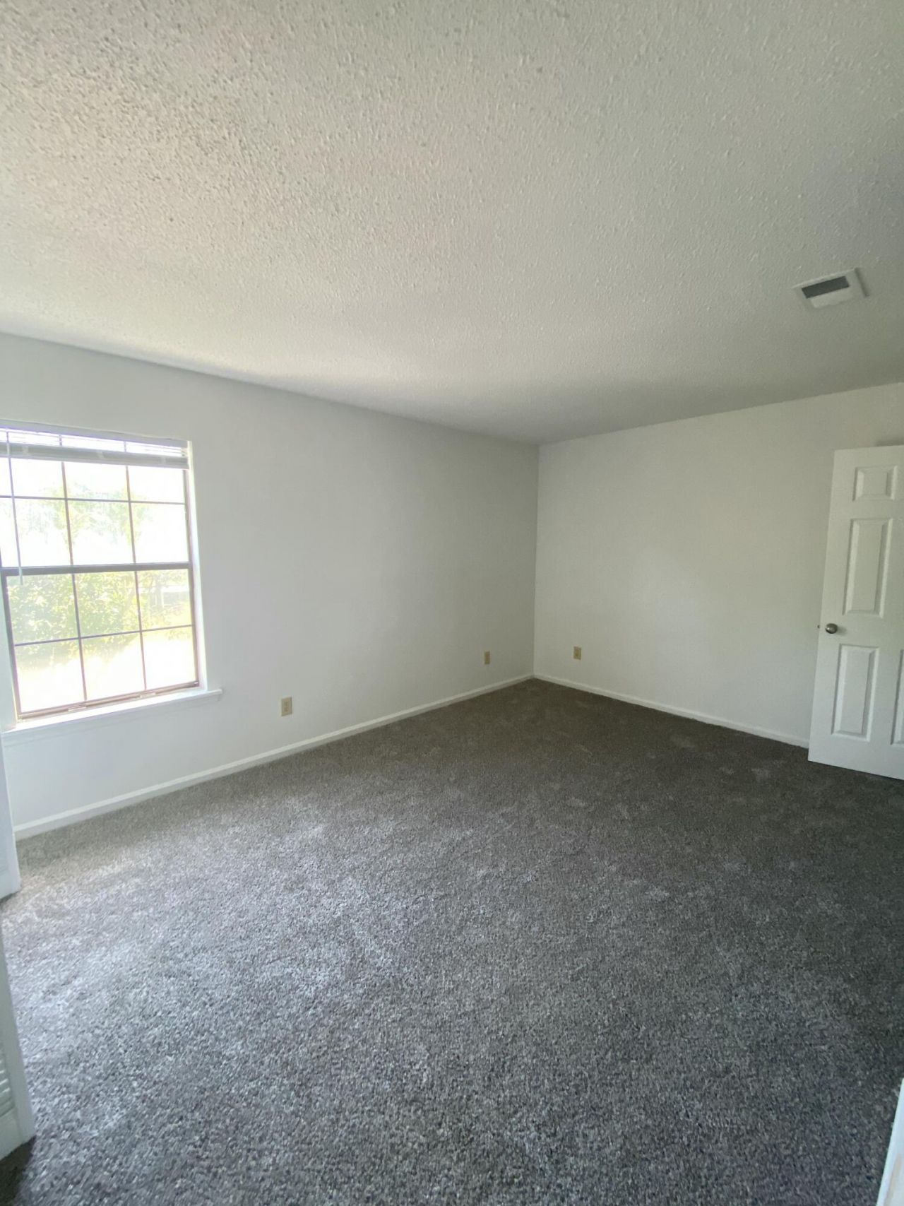 8042 Thelen Street Photo 15
