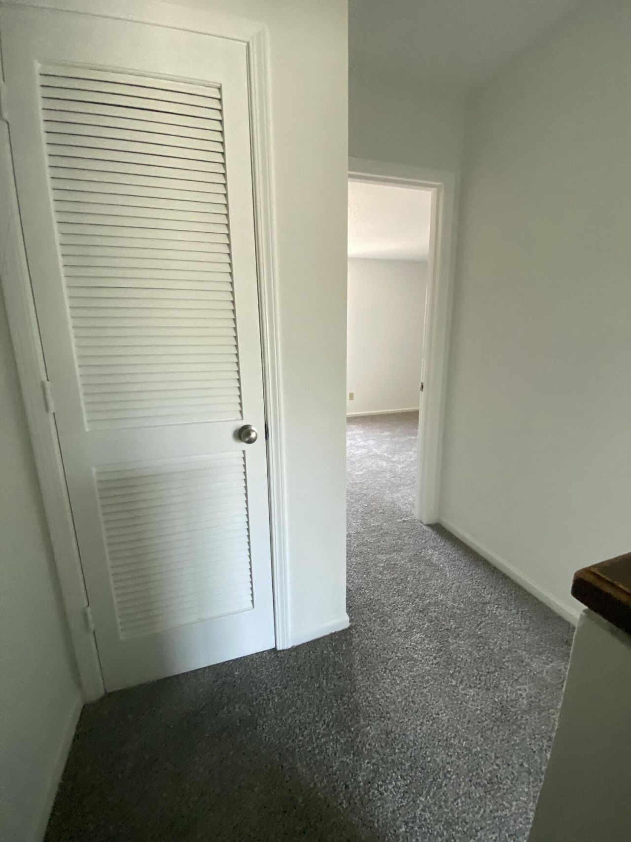 8042 Thelen Street Photo 7