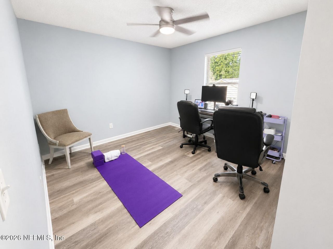 4620 Hedgehog Street, Middleburg, FL 32068 Photo