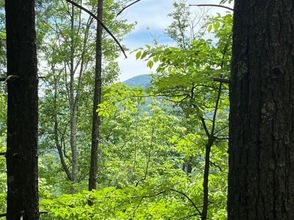 0 Gulf Road, Hartford, TN 37753