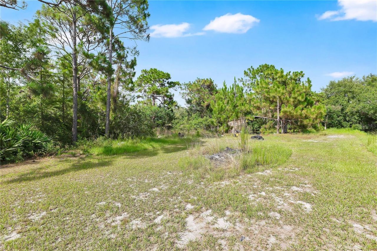 3925 Kaiser Avenue , Saint Cloud, FL 34772 Photo