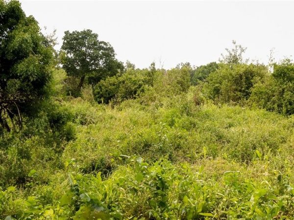 Deersville Avenue , Cadiz, OH 43907