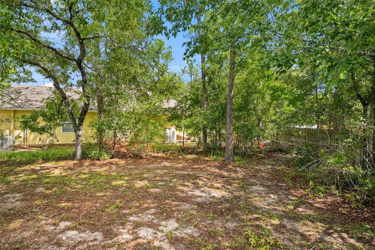 1325 W Sorrento Drive , Citrus Springs, FL 34434 Photo
