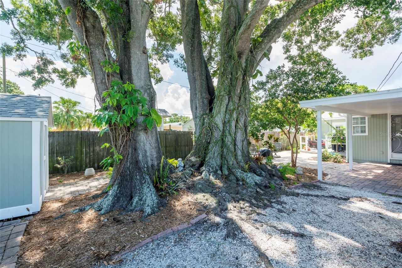 835 49th Avenue N, Saint Petersburg, FL 33703 Photo