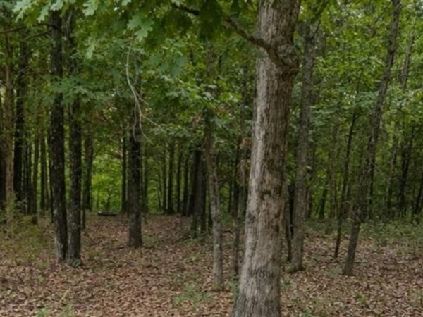 2346 W Squire Road, Marthasville, MO 63357