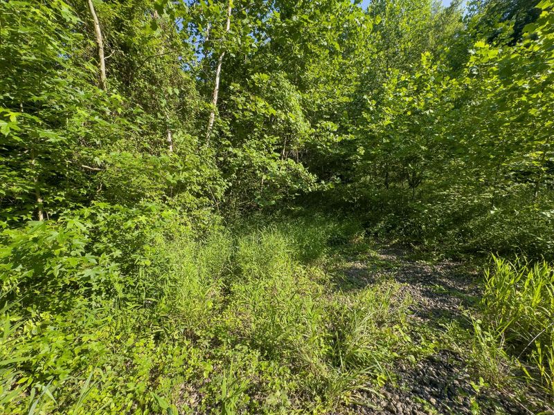0 Symmes Creek Road , Patriot, OH 45658 Photo 10