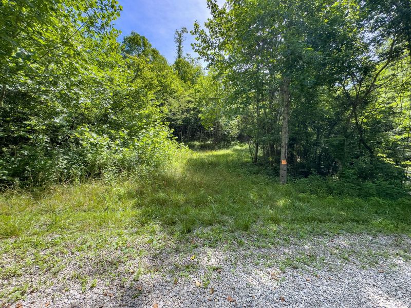 0 Symmes Creek Road , Patriot, OH 45658 Photo 11