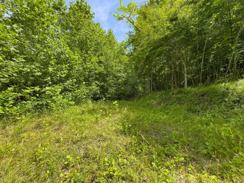 0 Symmes Creek Road , Patriot, OH 45658 Photo 12