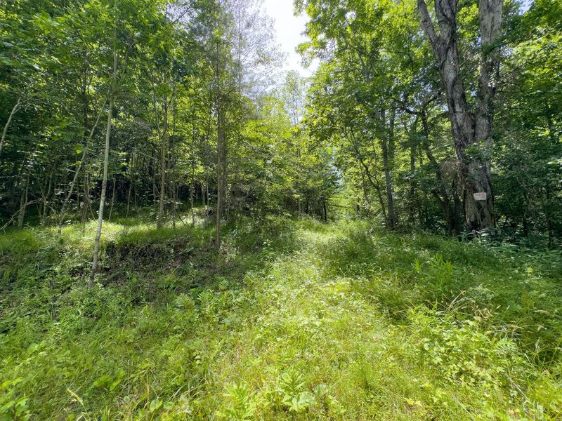 0 Symmes Creek Road , Patriot, OH 45658 Photo 13