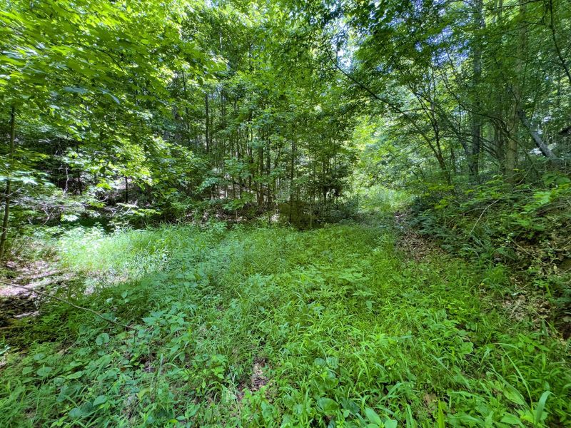 0 Symmes Creek Road , Patriot, OH 45658 Photo 14