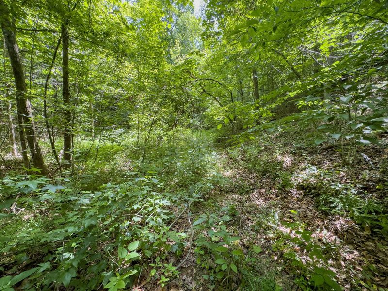 0 Symmes Creek Road , Patriot, OH 45658 Photo 15