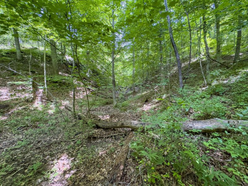 0 Symmes Creek Road , Patriot, OH 45658 Photo 16