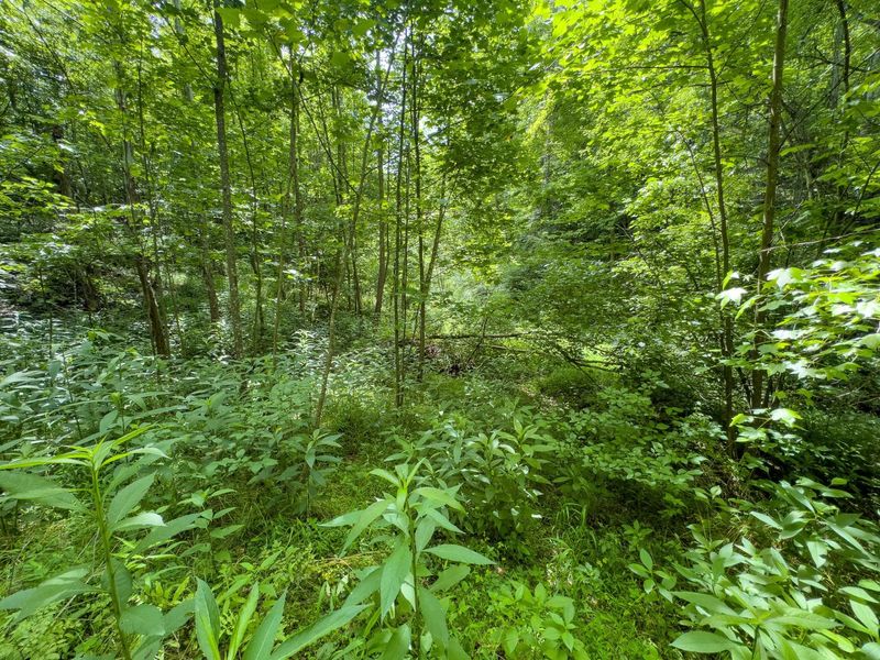0 Symmes Creek Road , Patriot, OH 45658 Photo 17