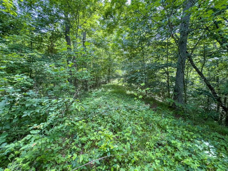 0 Symmes Creek Road , Patriot, OH 45658 Photo 18