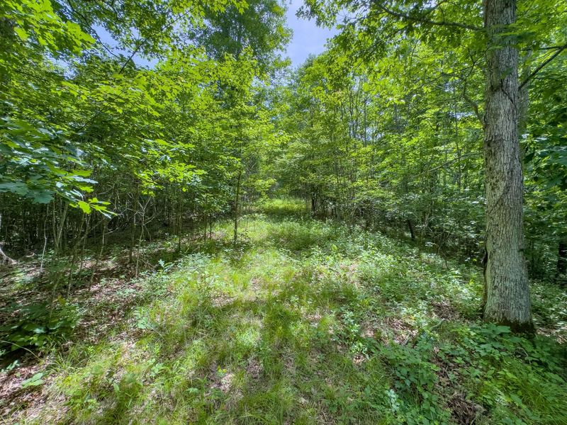 0 Symmes Creek Road , Patriot, OH 45658 Photo 19