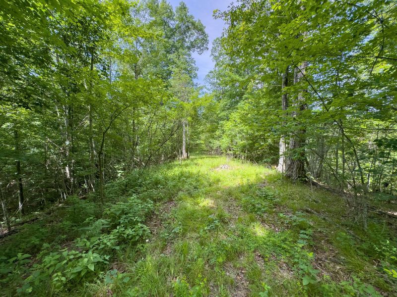 0 Symmes Creek Road , Patriot, OH 45658 Photo 20