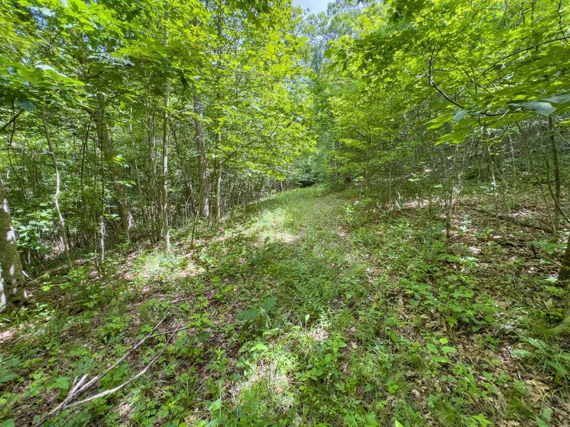0 Symmes Creek Road , Patriot, OH 45658 Photo 21
