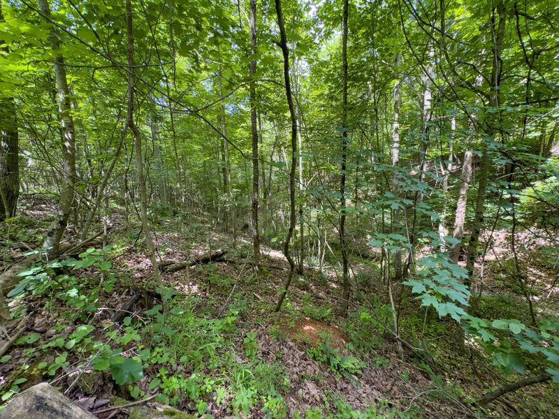 0 Symmes Creek Road , Patriot, OH 45658 Photo 22